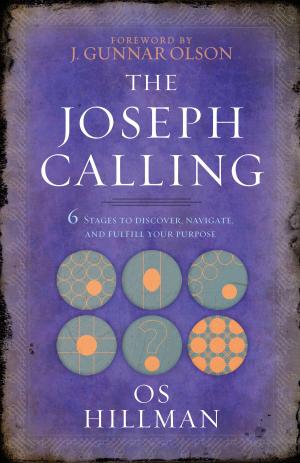Book cover of The Joseph Calling