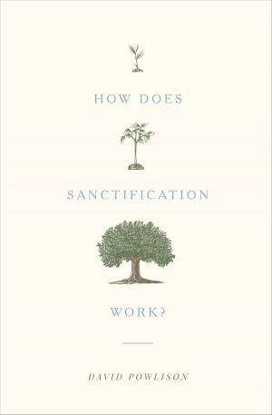 Cover of the book How Does Sanctification Work? by Philip Graham Ryken