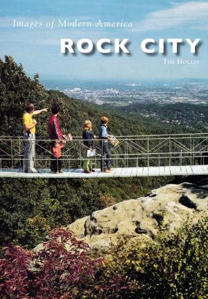 Cover of the book Rock City by Daniele Marcello, Valerio Contrafatto, Roberto Maldera