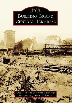 Cover of the book Building Grand Central Terminal by James W. Erwin