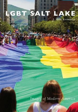 Cover of the book LGBT Salt Lake by Heather M. Wysocki
