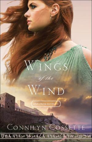 Cover of the book Wings of the Wind (Out From Egypt Book #3) by Dianne Neal Matthews