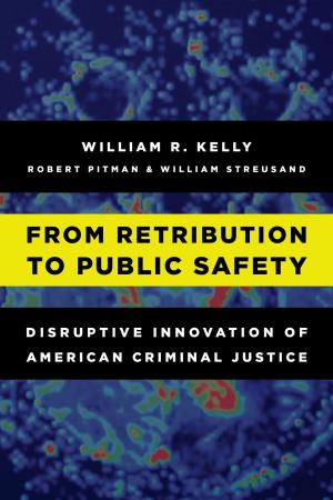 Book cover of From Retribution to Public Safety