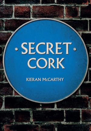 Cover of the book Secret Cork by Gerry van Tonder