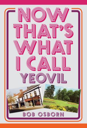 Cover of the book Now That's What I Call Yeovil by Professor David Loades