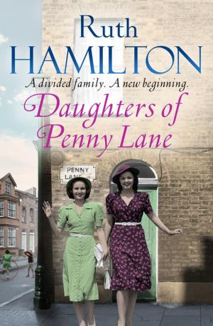 Cover of the book Daughters of Penny Lane by Peter James