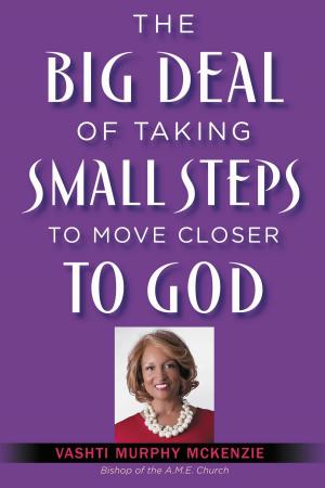Cover of the book The Big Deal of Taking Small Steps to Move Closer to God by Debbie Viguie