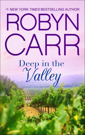 Cover of the book Deep in the Valley by Amanda Stevens