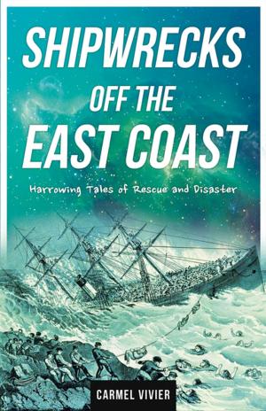 Cover of the book Shipwrecks Off the East Coast by Brenda Bellingham