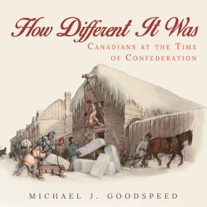 Cover of the book How Different It Was by 