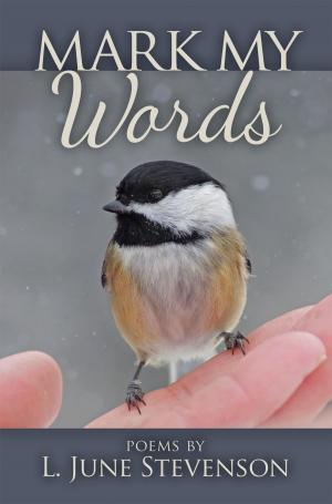 Cover of the book Mark My Words by Alessandrina Lerner