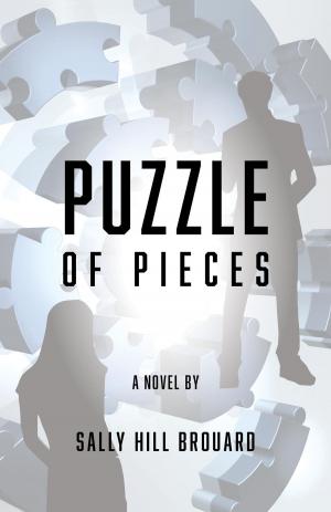 Cover of the book Puzzle of Pieces by Lee Shimano