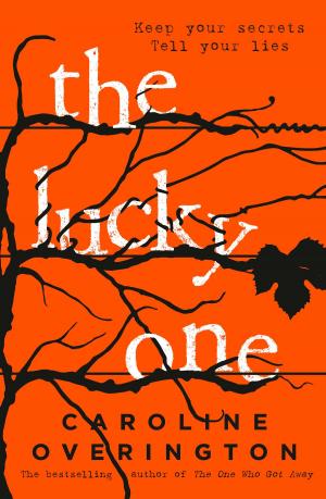 Book cover of The Lucky One