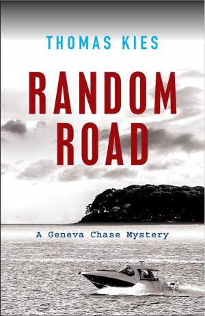 Cover of the book Random Road by Steven F Havill