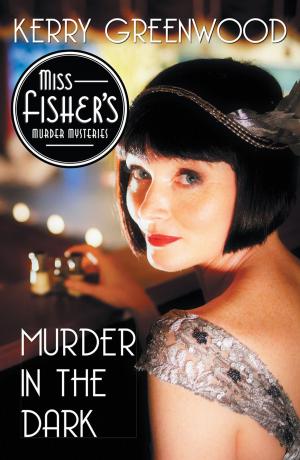 Cover of the book Murder in the Dark by Sarah Wexler