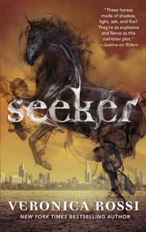 Cover of the book Seeker by Kevin Egan