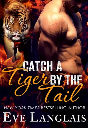 bigCover of the book Catch a Tiger by the Tail by 
