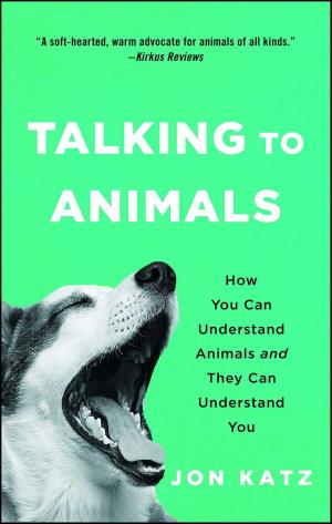 Cover of the book Talking to Animals by George A. Morrow