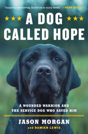 Cover of the book A Dog Called Hope by Zack O'Malley Greenburg