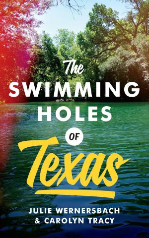 Cover of the book The Swimming Holes of Texas by Paul Friedrich