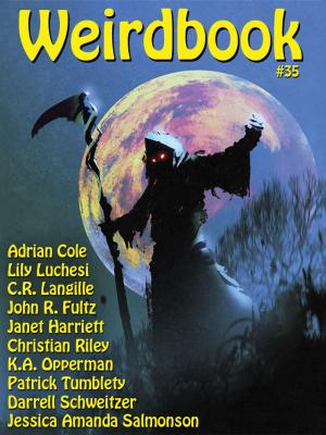 Cover of the book Weirdbook #35 by Ken Berglund