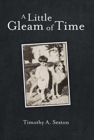 Book cover of A Little Gleam of Time