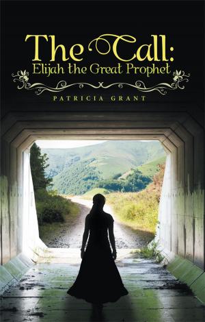 Cover of the book The Call: Elijah the Great Prophet by Joseph B. Walker, Jeff Bonano