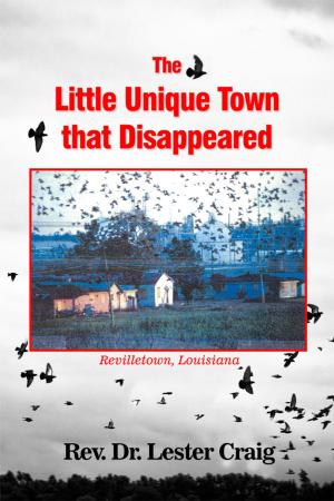 Cover of the book The Little Unique Town that Disappeared by Dennis Treece
