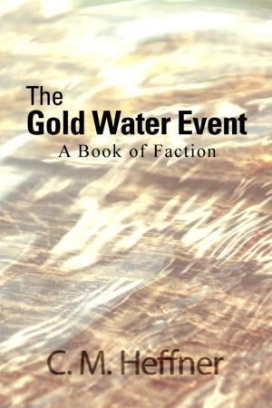 Cover of the book The Gold Water Event by Helena Petrus
