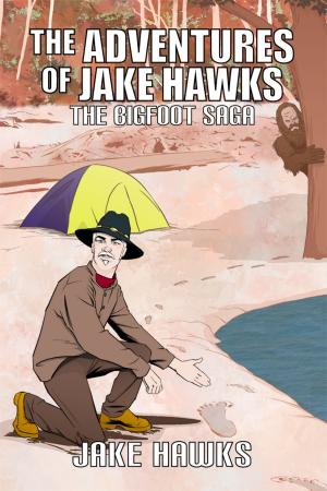 Cover of the book The Adventures of Jake Hawks by BF McKnight