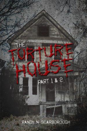 Cover of the book The Torture House by Josiah Akhtab
