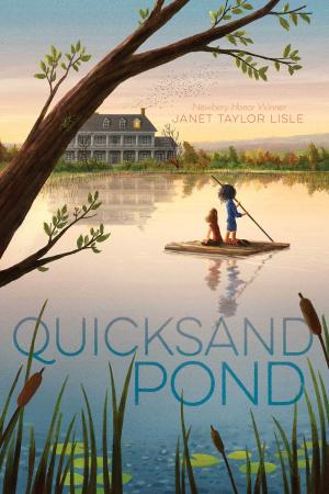 Cover of the book Quicksand Pond by Betsy James