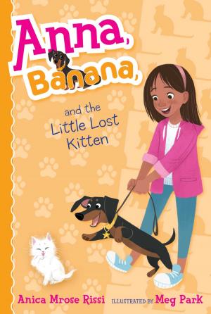 Cover of the book Anna, Banana, and the Little Lost Kitten by S. J. Kincaid