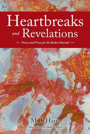Cover of the book Heartbreaks and Revelations by Barry R. Harker