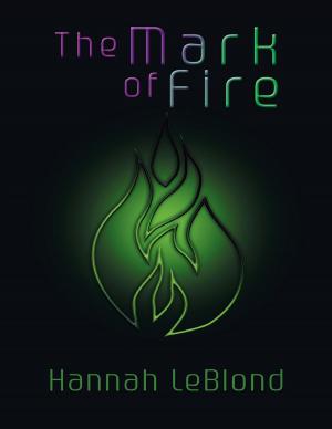 Cover of the book The Mark of Fire by Lori DiGuardi