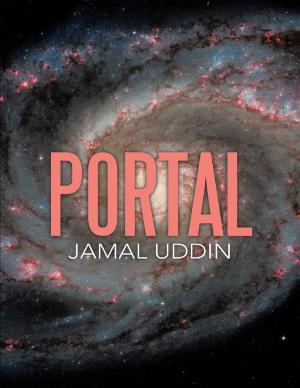 Cover of the book Portal by David Burnett