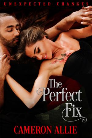 Book cover of The Perfect Fix