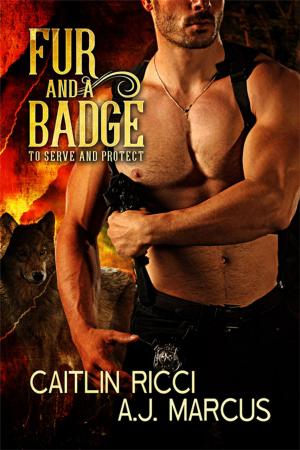 Cover of the book Fur and a Badge by Julie Lynn Hayes, S.L. Danielson