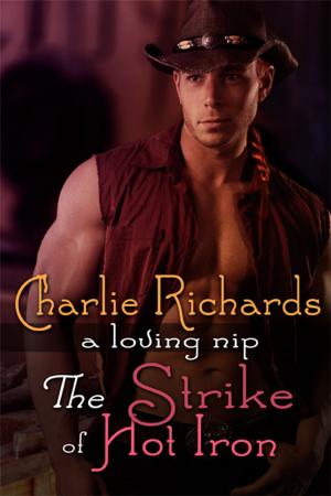 Cover of the book The Strike of Hot Iron by Cynthianna