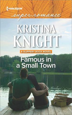 Cover of the book Famous in a Small Town by Ruth Langan