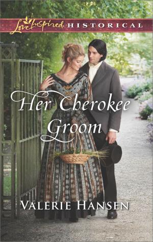 Book cover of Her Cherokee Groom