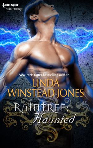 Cover of the book Raintree: Haunted by Lucretia Castillo