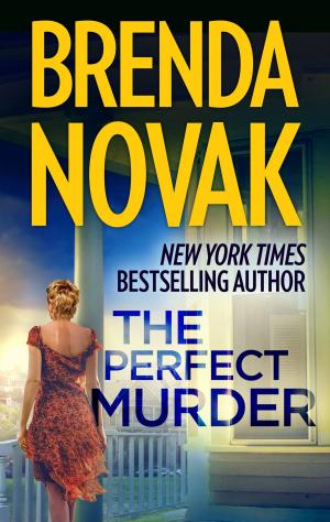 bigCover of the book The Perfect Murder by 