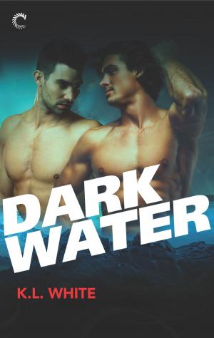 Cover of the book Dark Water by Rachel Reid