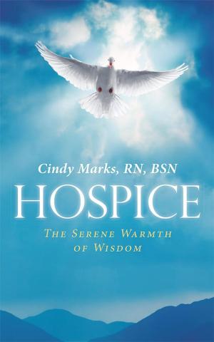 Cover of the book Hospice by Jodie M. Chappuis