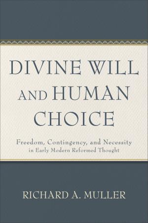 Book cover of Divine Will and Human Choice