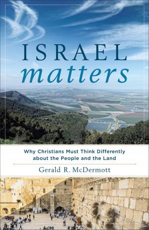 Book cover of Israel Matters
