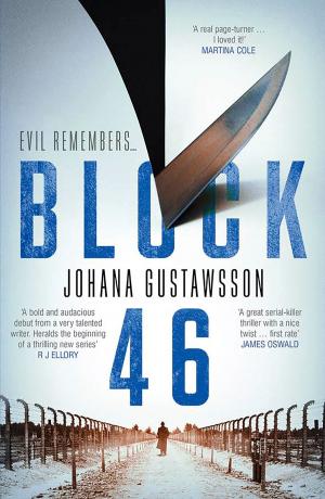Cover of the book Block 46 by Gunnar Staalesen