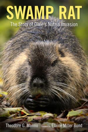 Cover of the book Swamp Rat by 