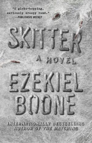 Cover of the book Skitter by Alisa Kwitney